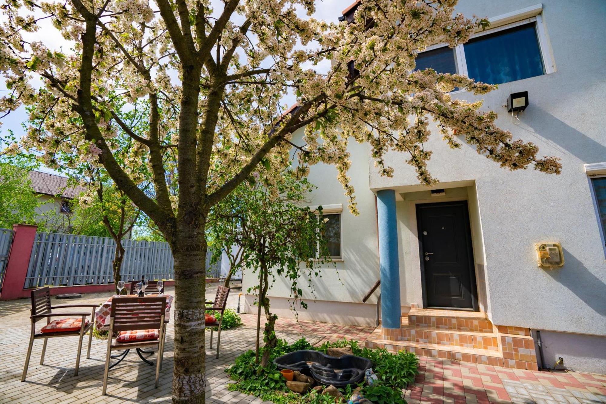 Pitstop Apartments Dumbravita  Exterior foto