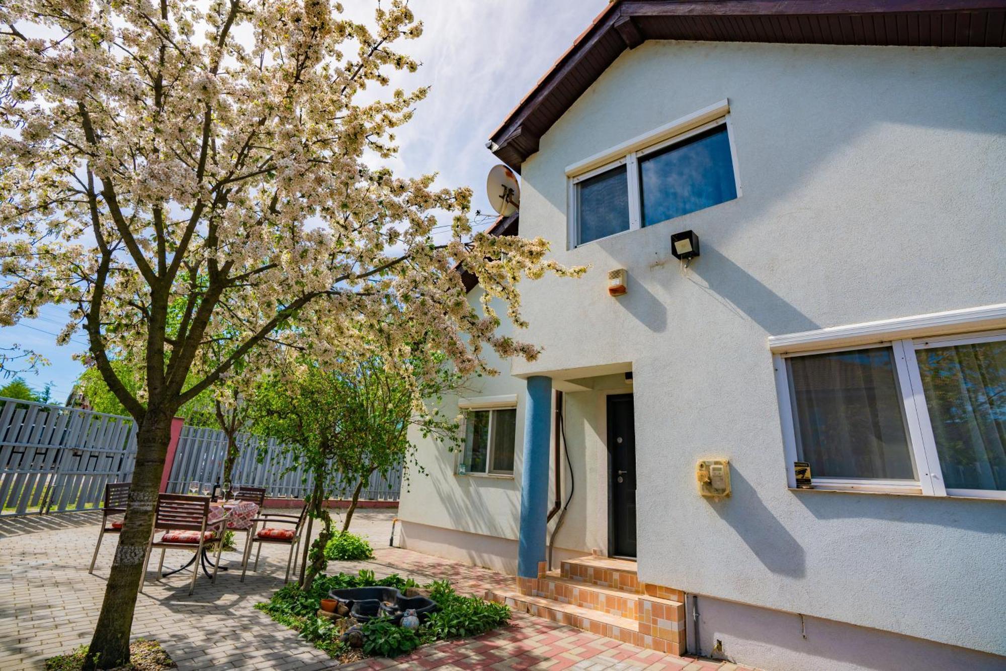 Pitstop Apartments Dumbravita  Exterior foto